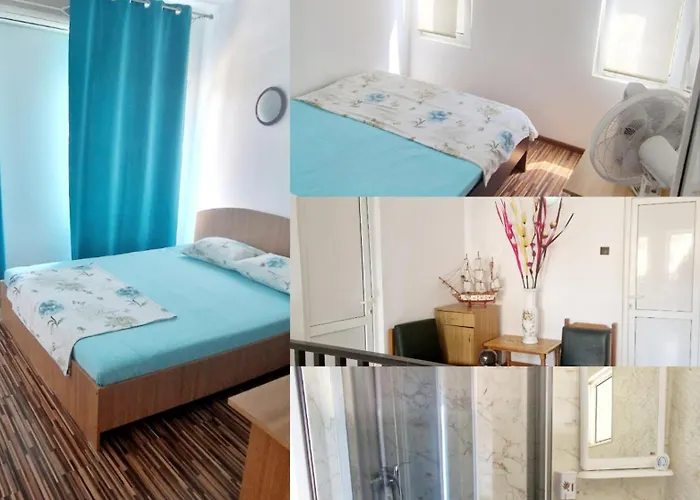 Cozia 艾福雷诺德